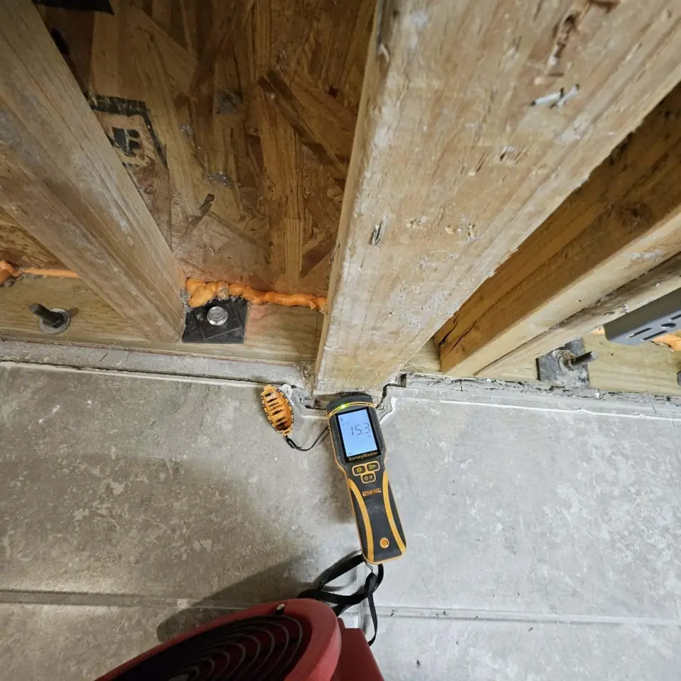 Moisture meter confirming the wall framing is dry
