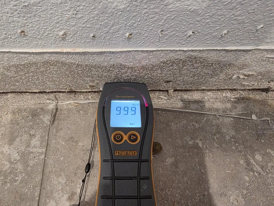 Moisture meter confirming a saturated subfloor